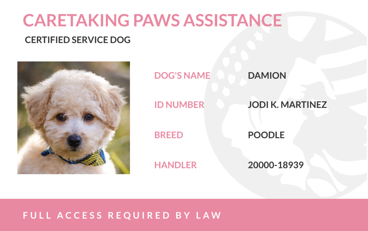 Free Service Dog ID Card Templates Editable And Printable