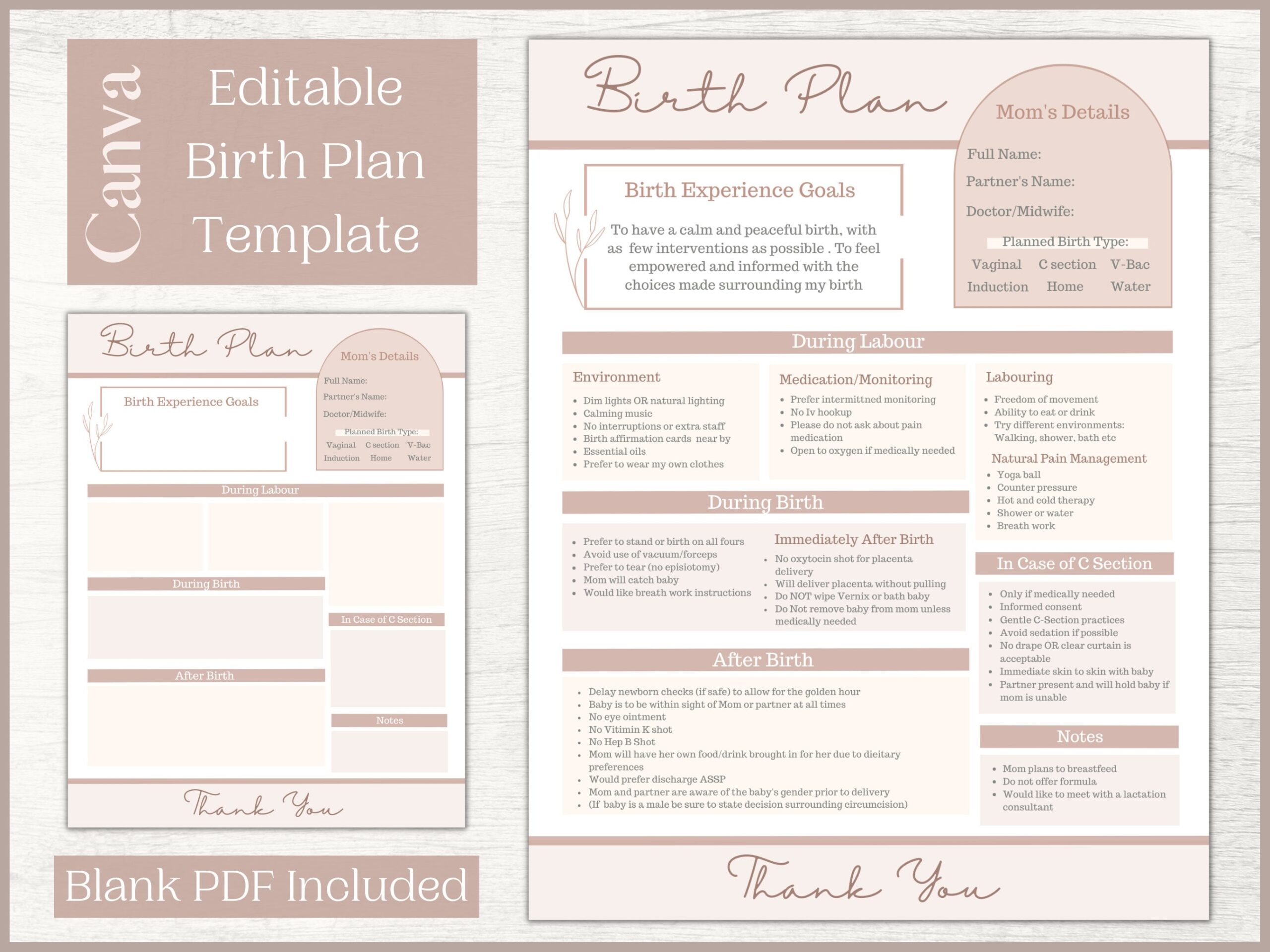 Printable Birth Plan Templates Free