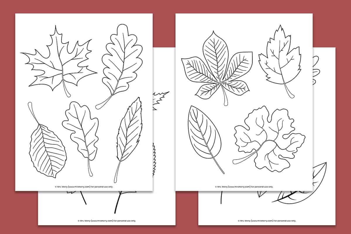 Autumn Leaf Templates Free Printables