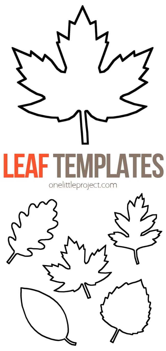 Maple Leaf Templates Printable Free