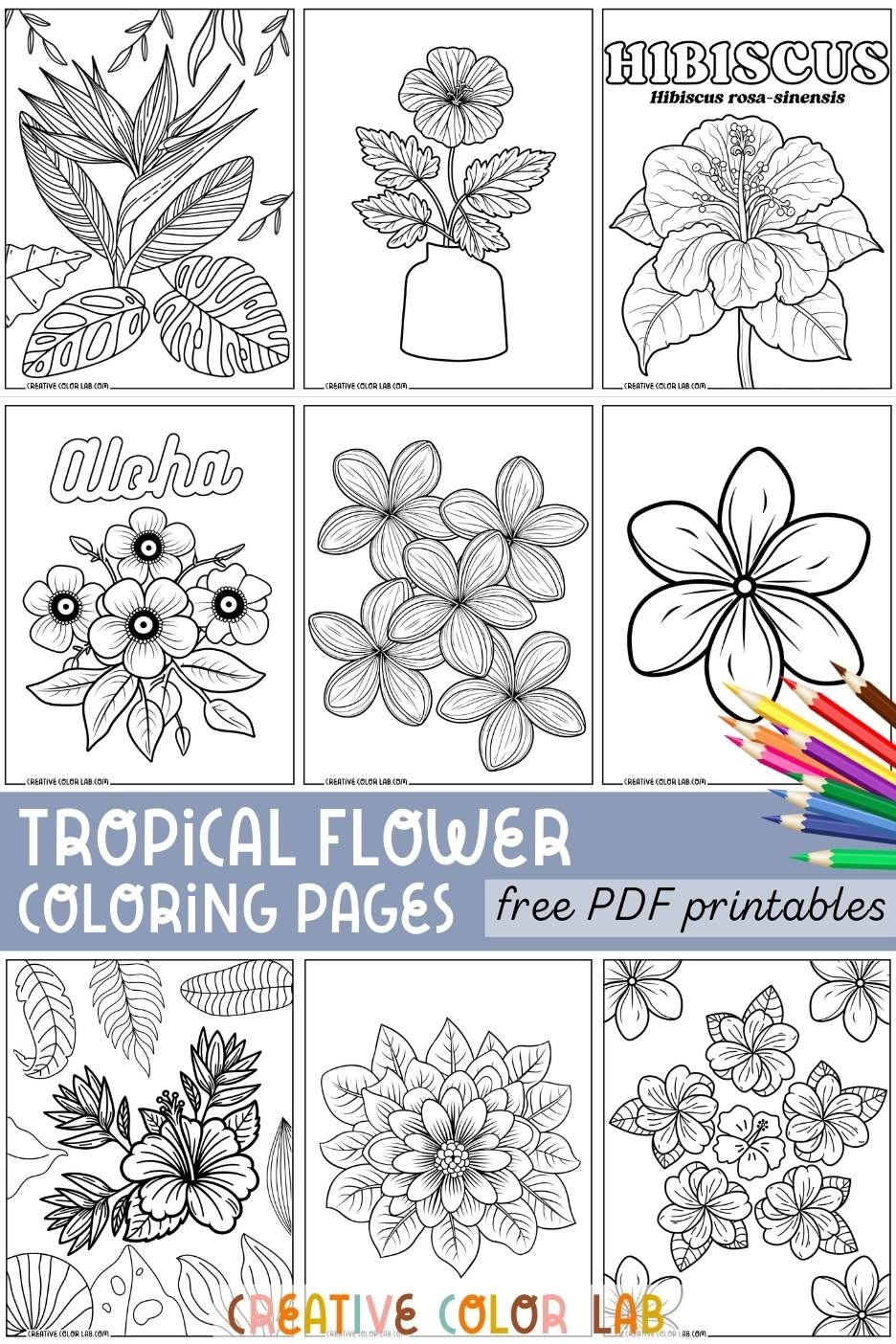 Free Printable Paper Tropical Flower Templates