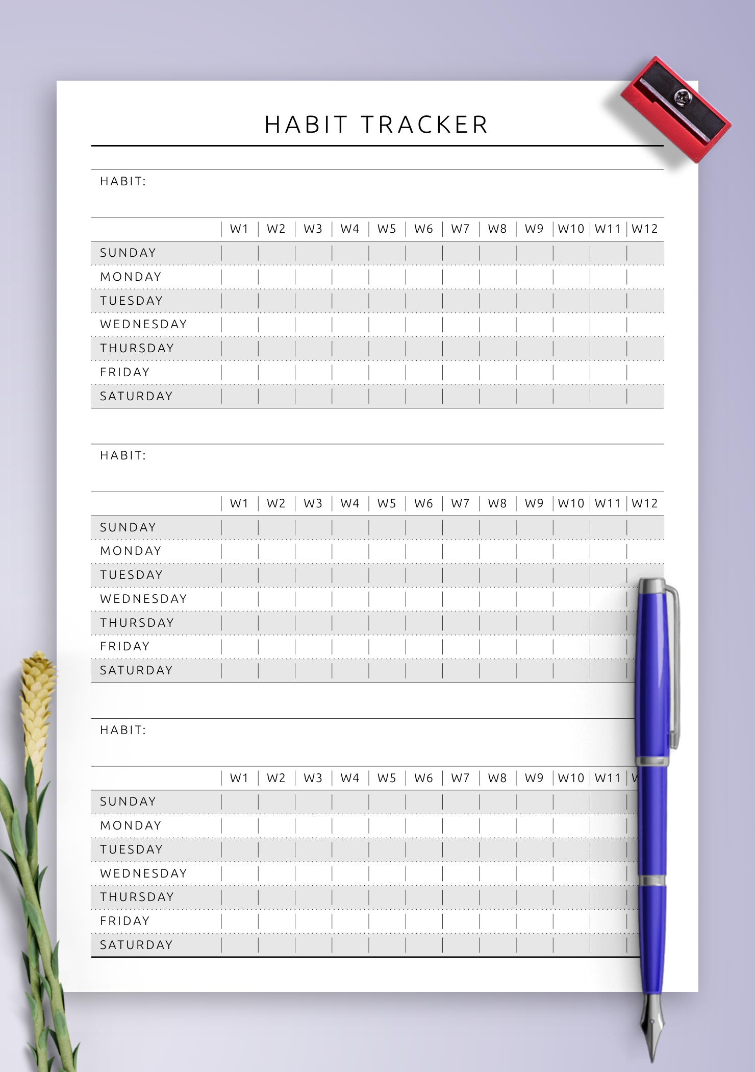 Free Printable Fitness Journal Template
