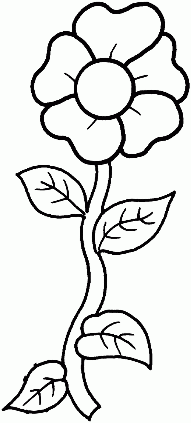 Free Printable Flower Stem Template Free Printable Flower Stem Template