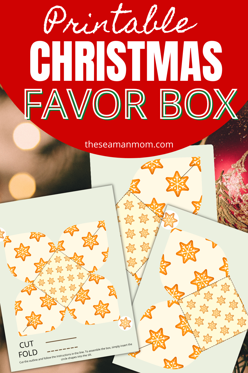 Printable Christmas Box Template Free