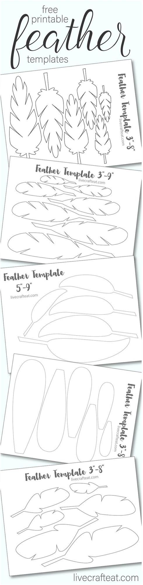 Blank Free Printable Feather Template Blank Free Printable Feather Template